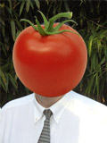 Expert Agrotech