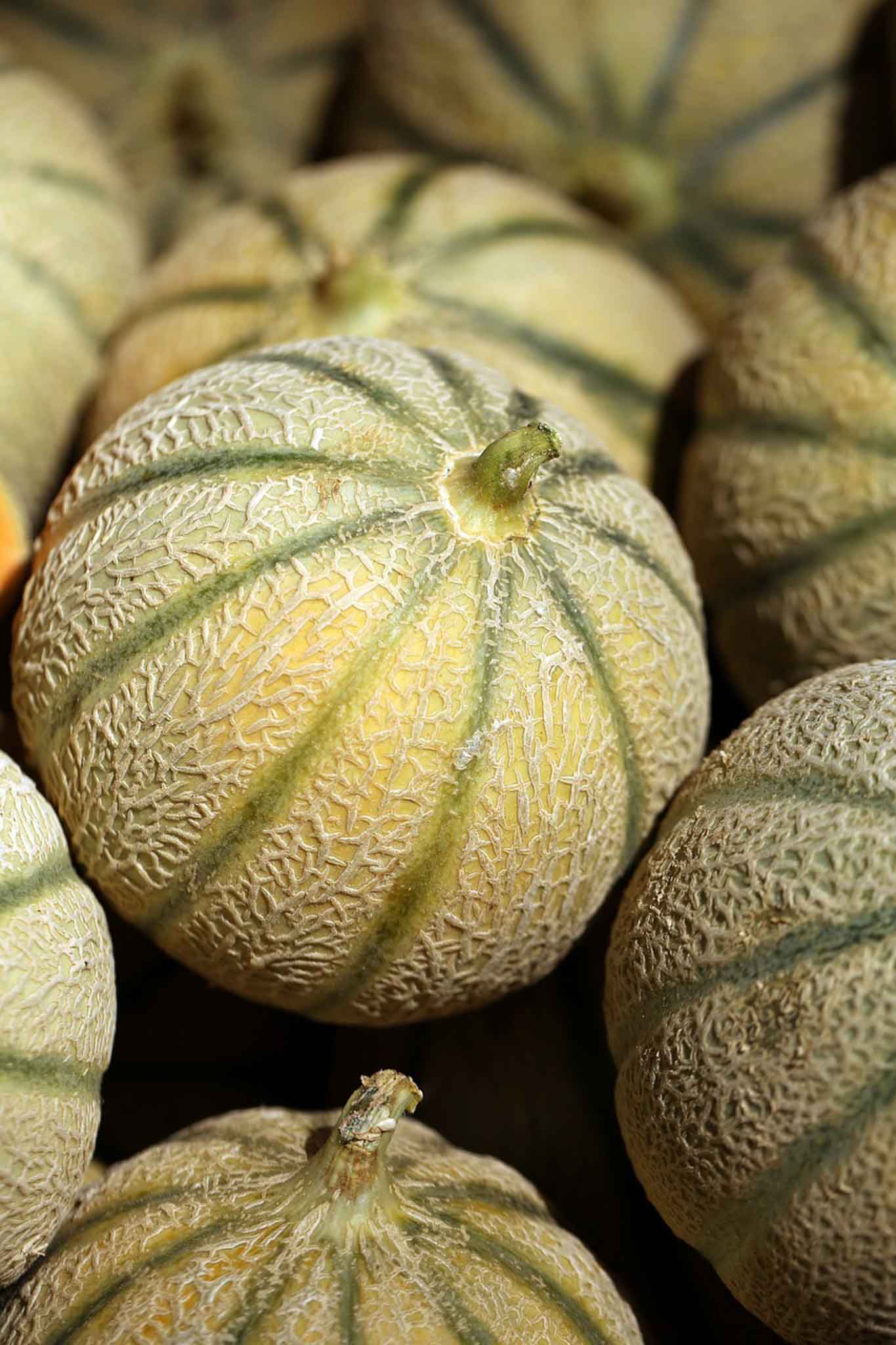 Melons